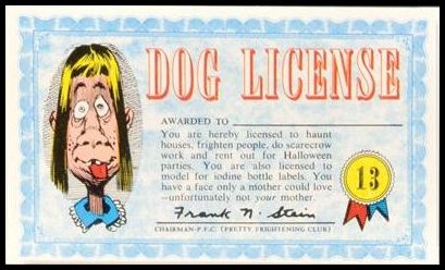 13 Dog License